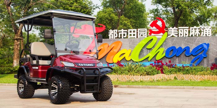 觀光車廠家可定制服務